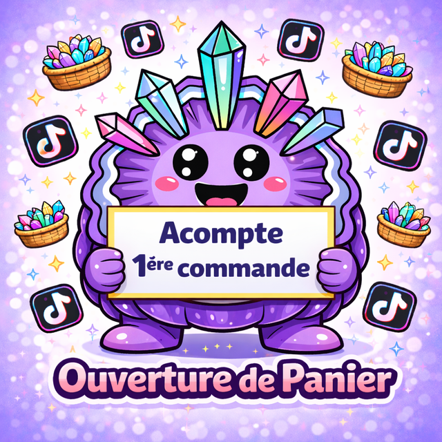 ACOMPTE PREMIERE COMMANDE image 8.png