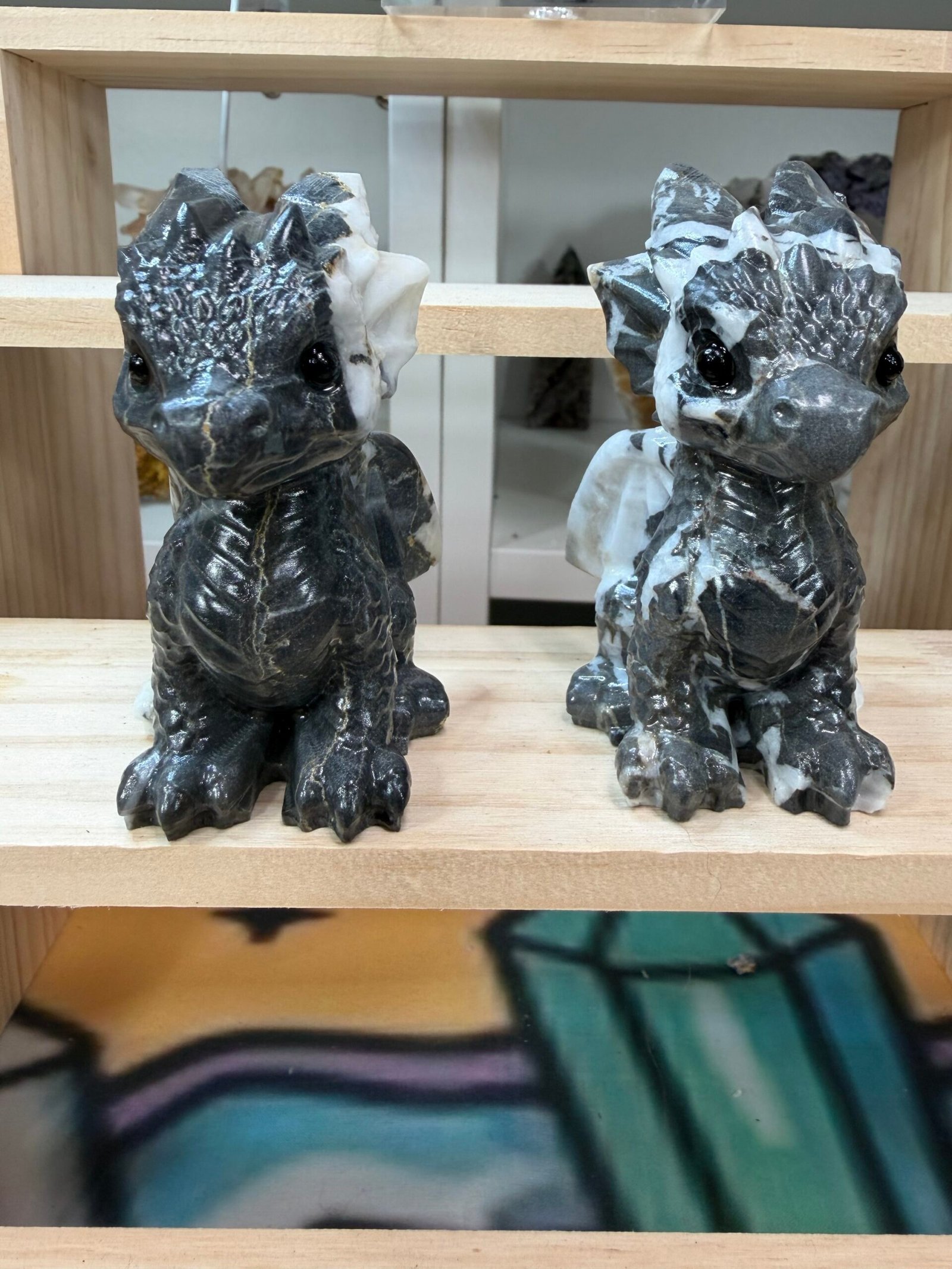 dragon jaspe zèbre