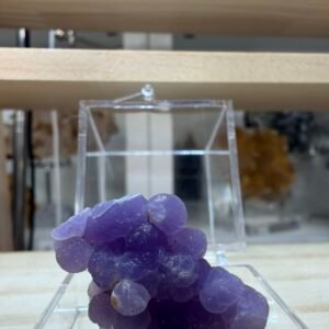 img 4635