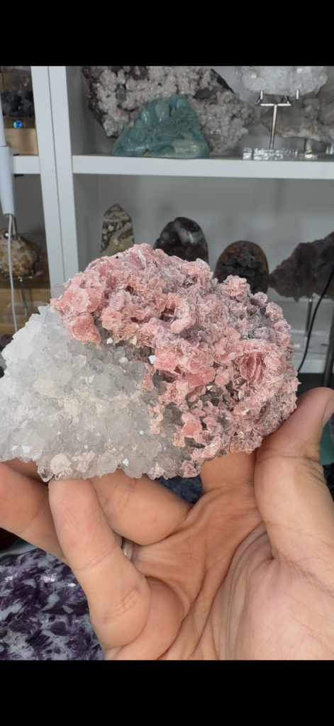 Rhodochrosite : origines, cristaux et conseils de collection Rhodochrosite rose en rosettes sur quartz blanc de Wutong, photographiée en main